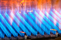 Neenton gas fired boilers